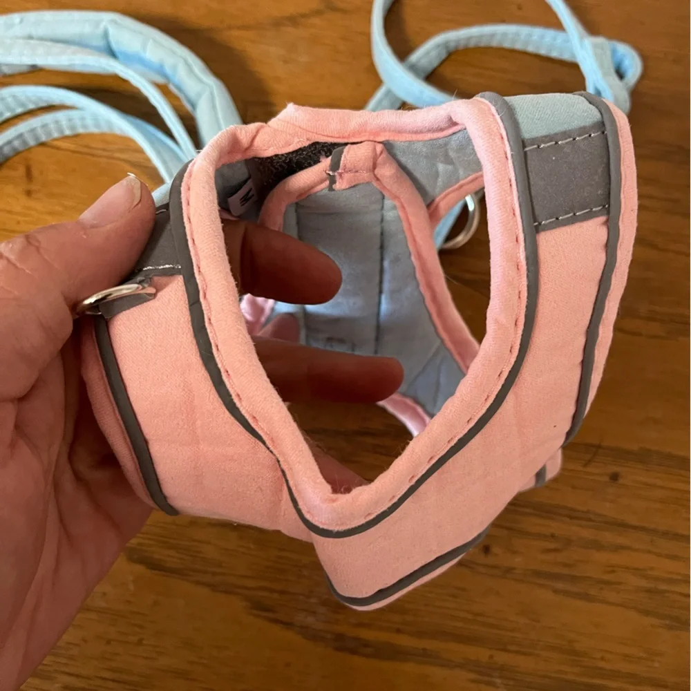 Pet Harness and Leash